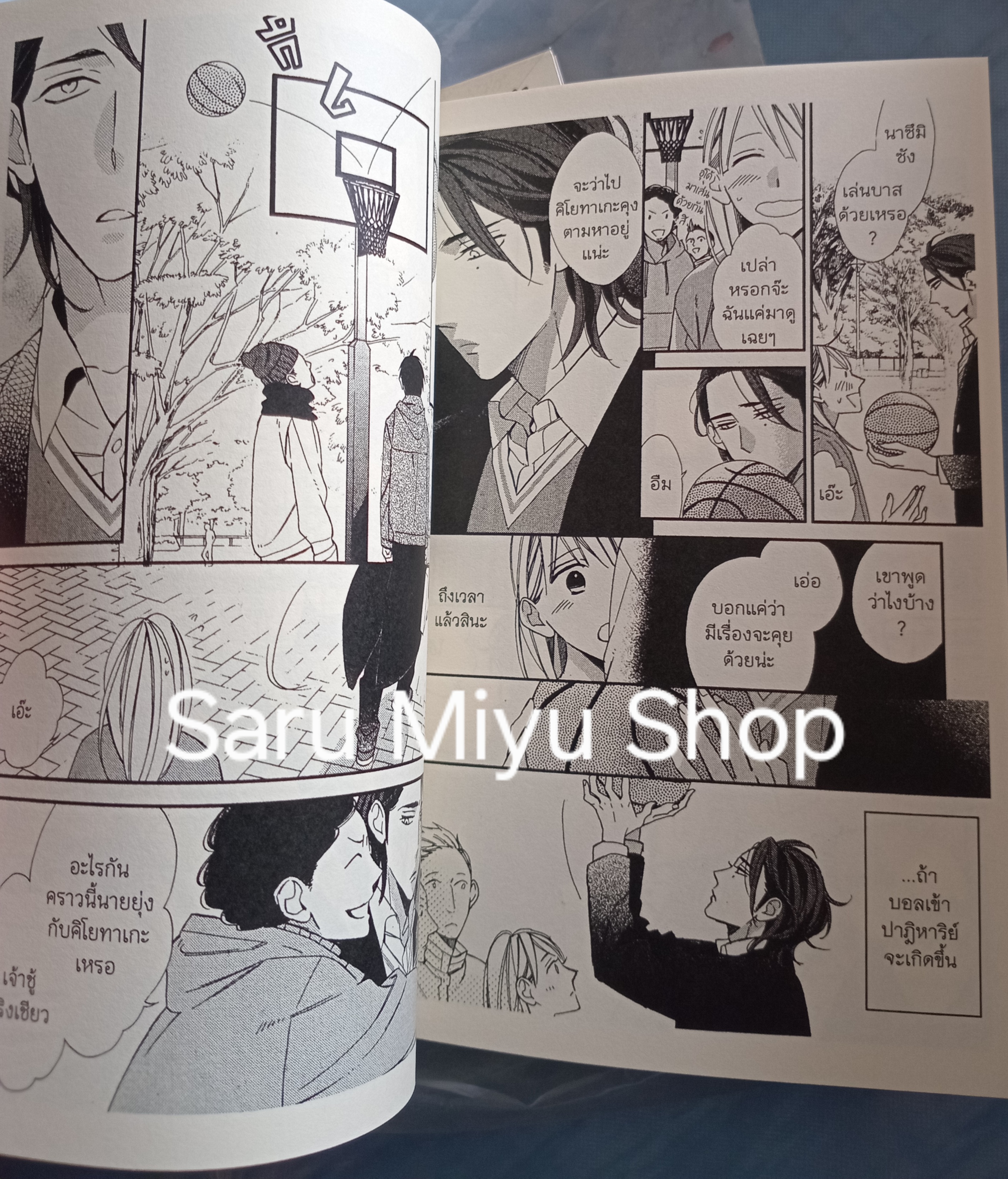 The Story of never ending happiness