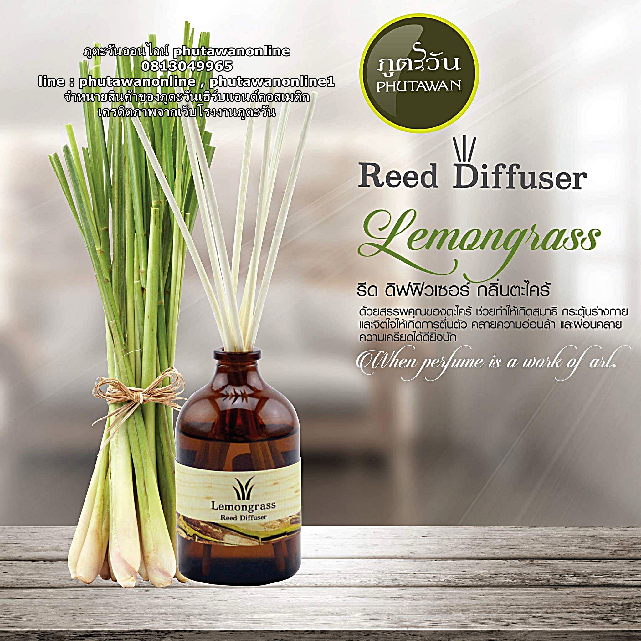 ก้านหอมปรับอากาศกลิ่นตะไคร้ (ขายดี) Lemongrass Aroma Reed Diffuser ขวด 50 ml