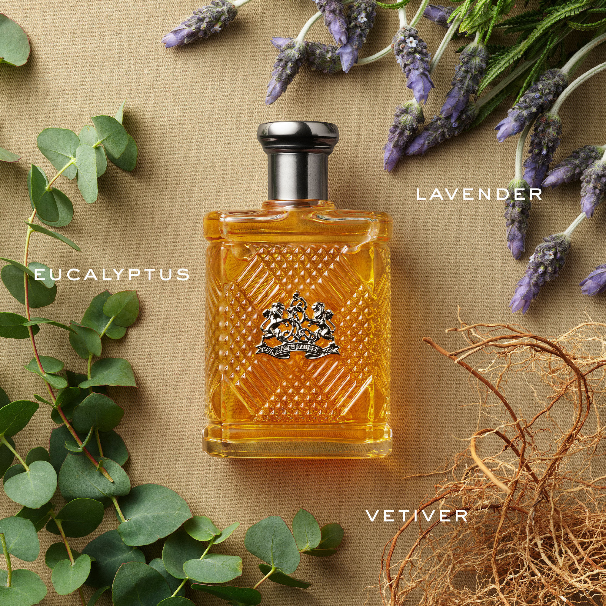 น้ำหอม Ralph Safari For Men EDT 125ml