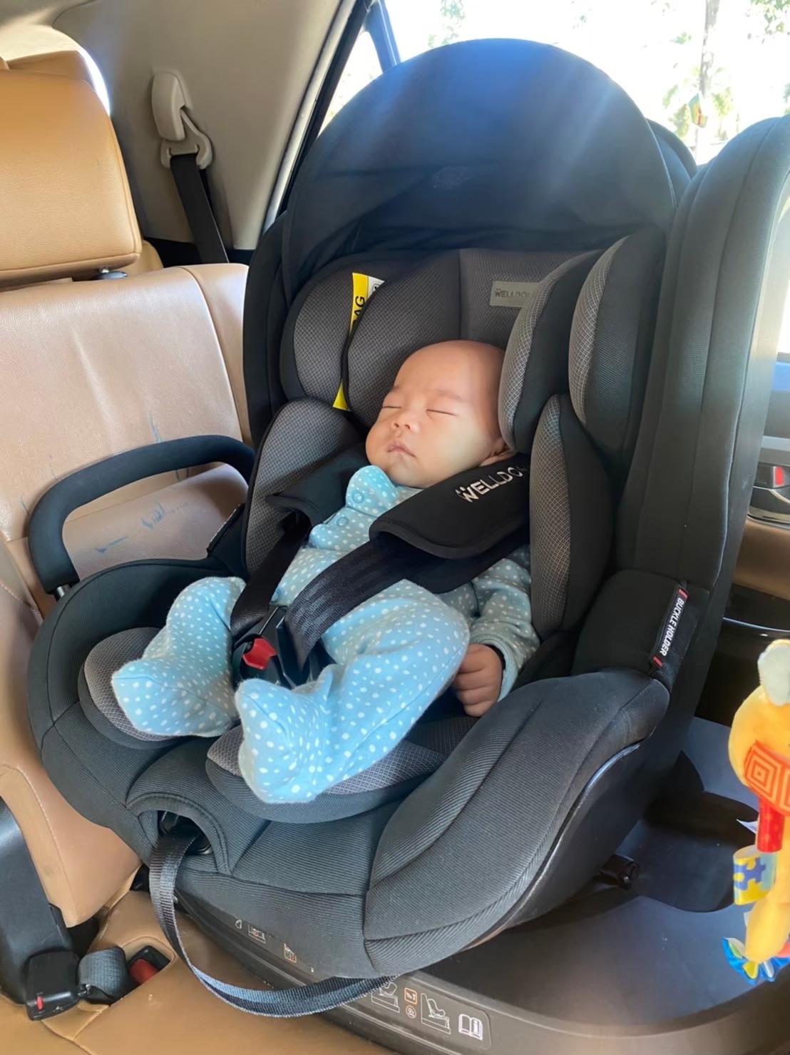 คาร์ซีท Welldon รุ่น COCOONLOVE ELDER (แรกเกิด - 4 ปี)