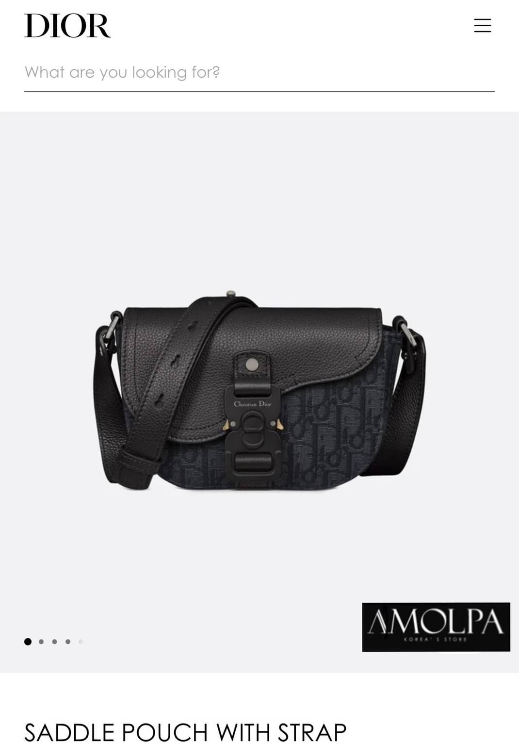 กระเป๋า CHRISTAIN DIOR SADDLE POUCH งานสวยมากก เหล่าบรรดาเซเลปทั้งหลายก็สะพายกัน