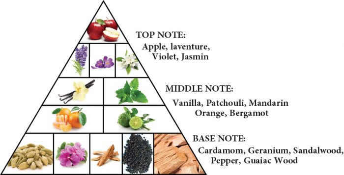 น้ำหอม Al Haramain Detour Noir EDP 100ml