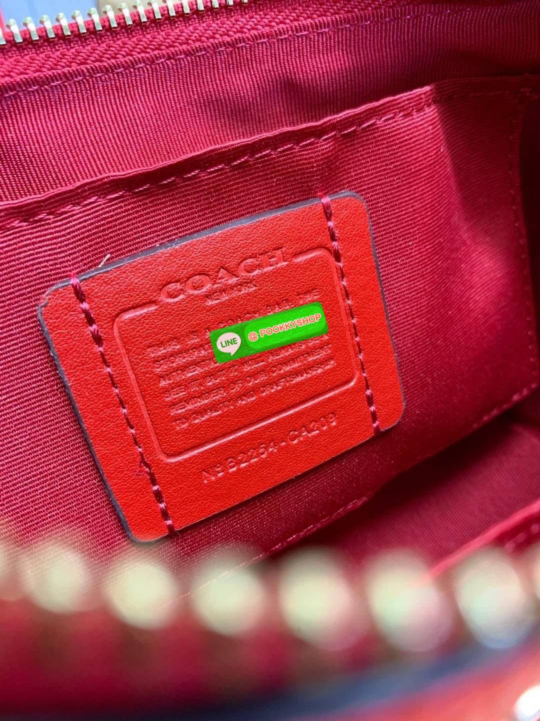 COACH TERI SHOULDER BAG ((CA173//CA209//CA548)) 🔹กระเป๋าทรงพอช ในรูปแบบหนังแท้ หนังนิ่มสวยมากค่ะ 🔹เปิดปิดกระเป๋าแบบซิป ภายในสามารถใส่กระเป๋าเงินใบยาวได้;มือถือได้ทุกรุ่น;พาสปอร์ตได้;มีช่องเล็กใส่ของจุกจิก และช่องเสียบบัตรให้อีก2ช่องนะคะ