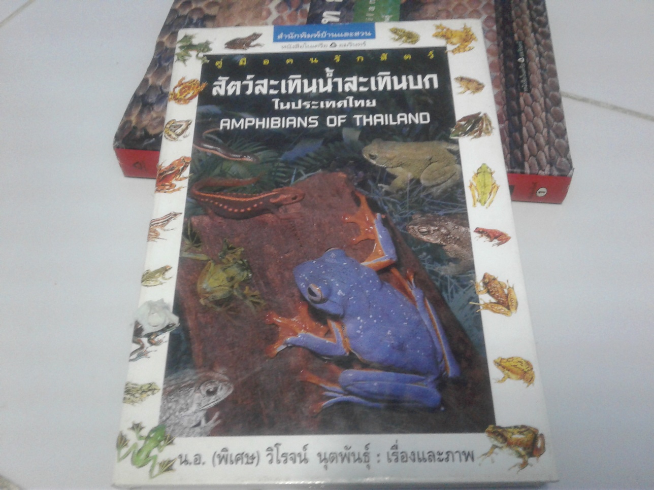 คู่มือคนรักสัตว์ สะเทินน้ำสะเทินบก