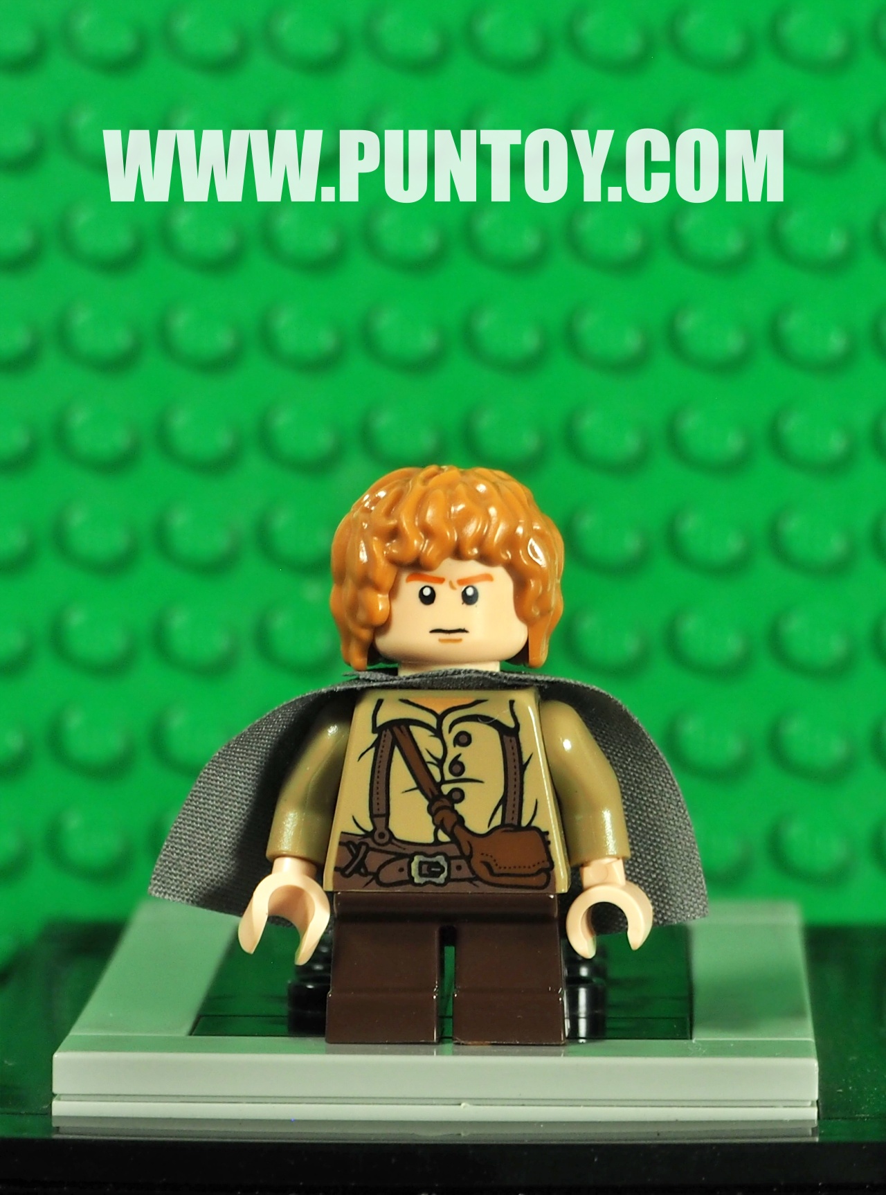 lor004: Samwise Gamgee