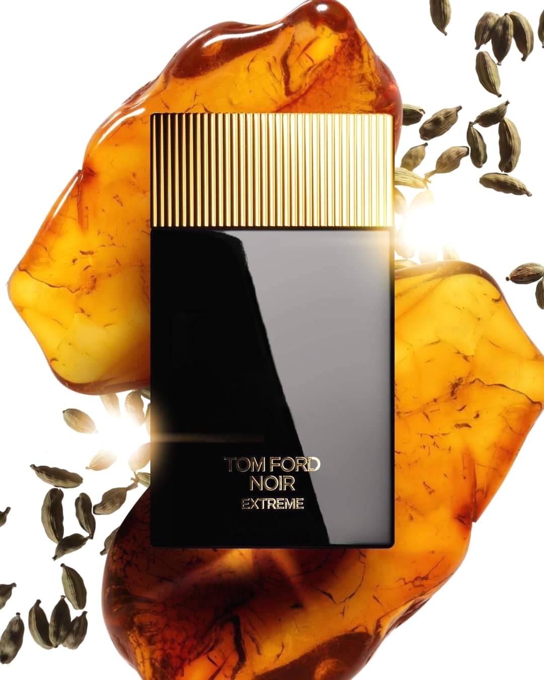 น้ำหอม TOM FORD Noir Extreme EDP 100ml