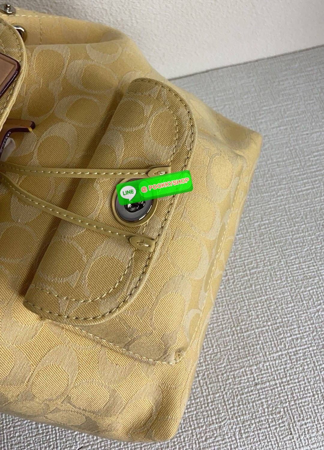 Coach CH789 Riya Backpack 21 Women Backpacks Shoulder Bag