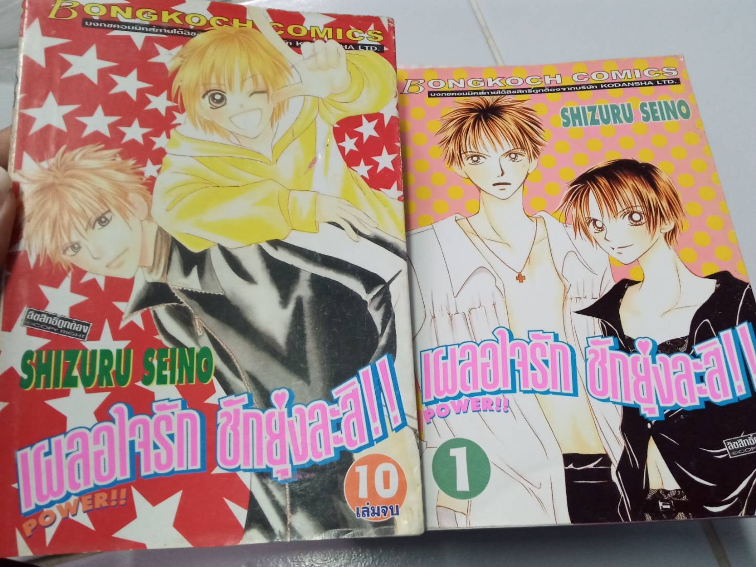 เผลอรักชักยุงละสิ เล่ม 1-10 จบ