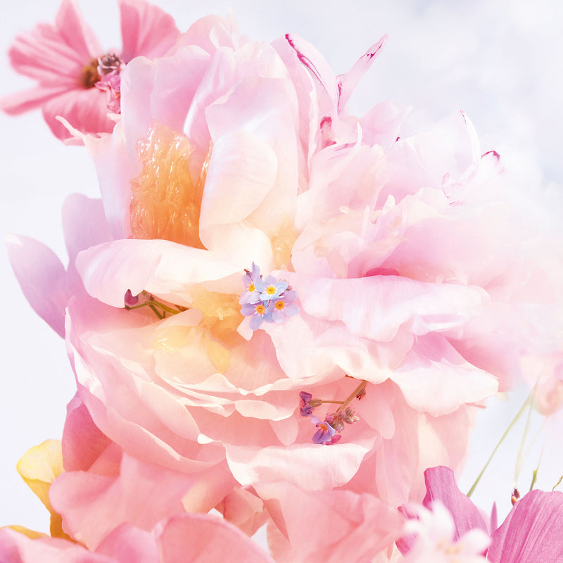 น้ำหอม Miss Dior Blooming Bouquet EDT