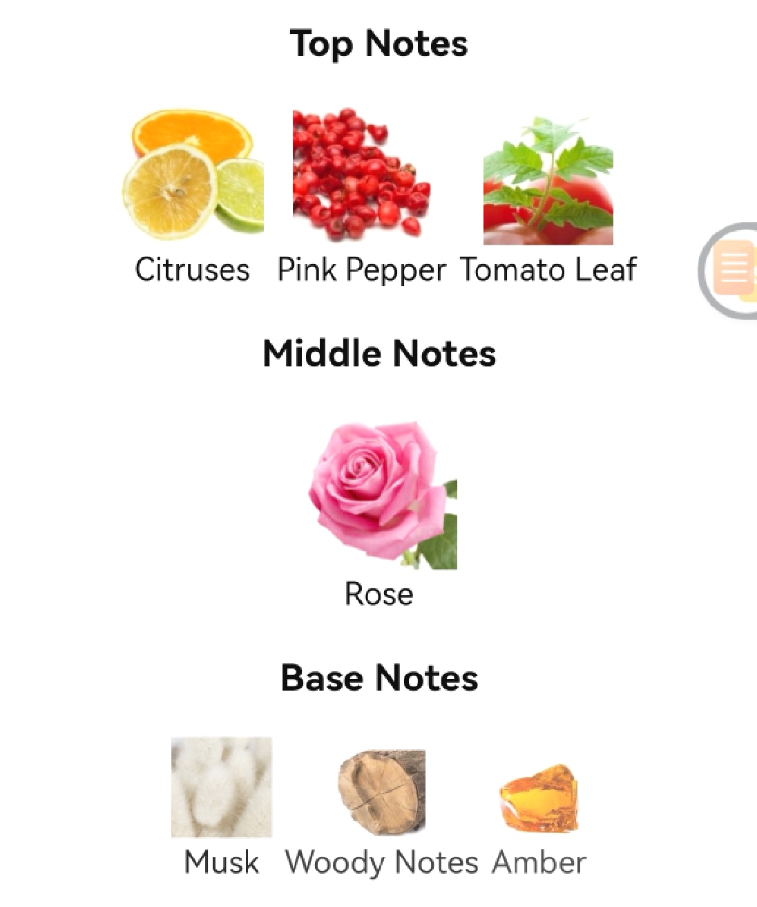 น้ำหอม YSL Paris Rebel Collector EDP 75ml.