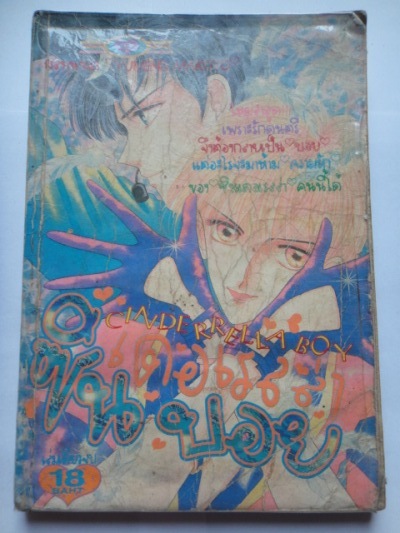 เดอะเรลล่าซิลบอย เล่มเดียวจบ ตามสภาพ