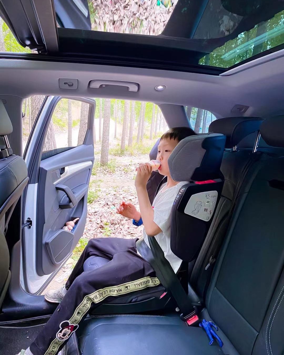 คาร์ซีทเด็กโต Welldon รุ่น Cocoon Trip (3 - 12ปี)