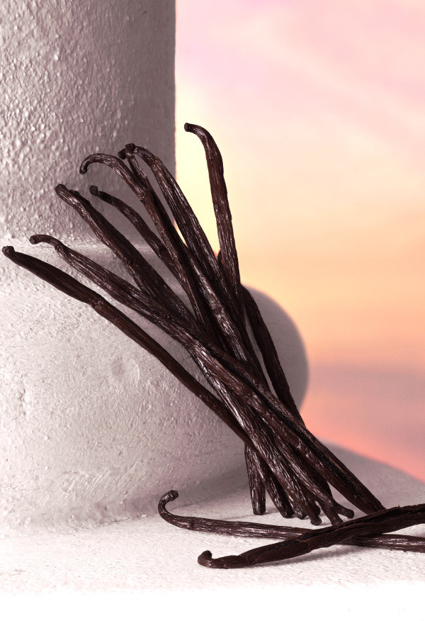 น้ำหอม Dolce and Gabbana Devotion Intense EDP