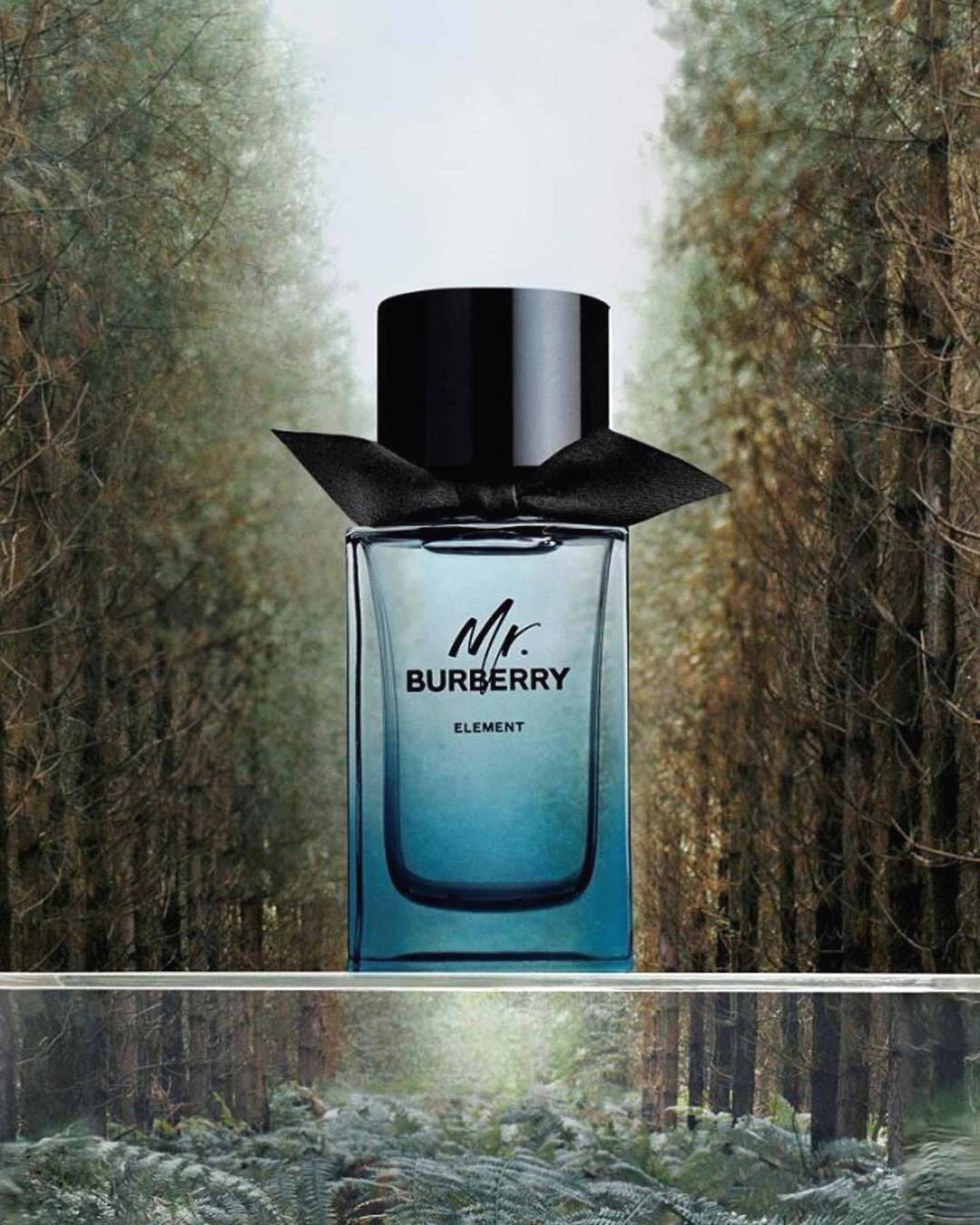 น้ำหอม Mr. Burberry Element EDT 150ml