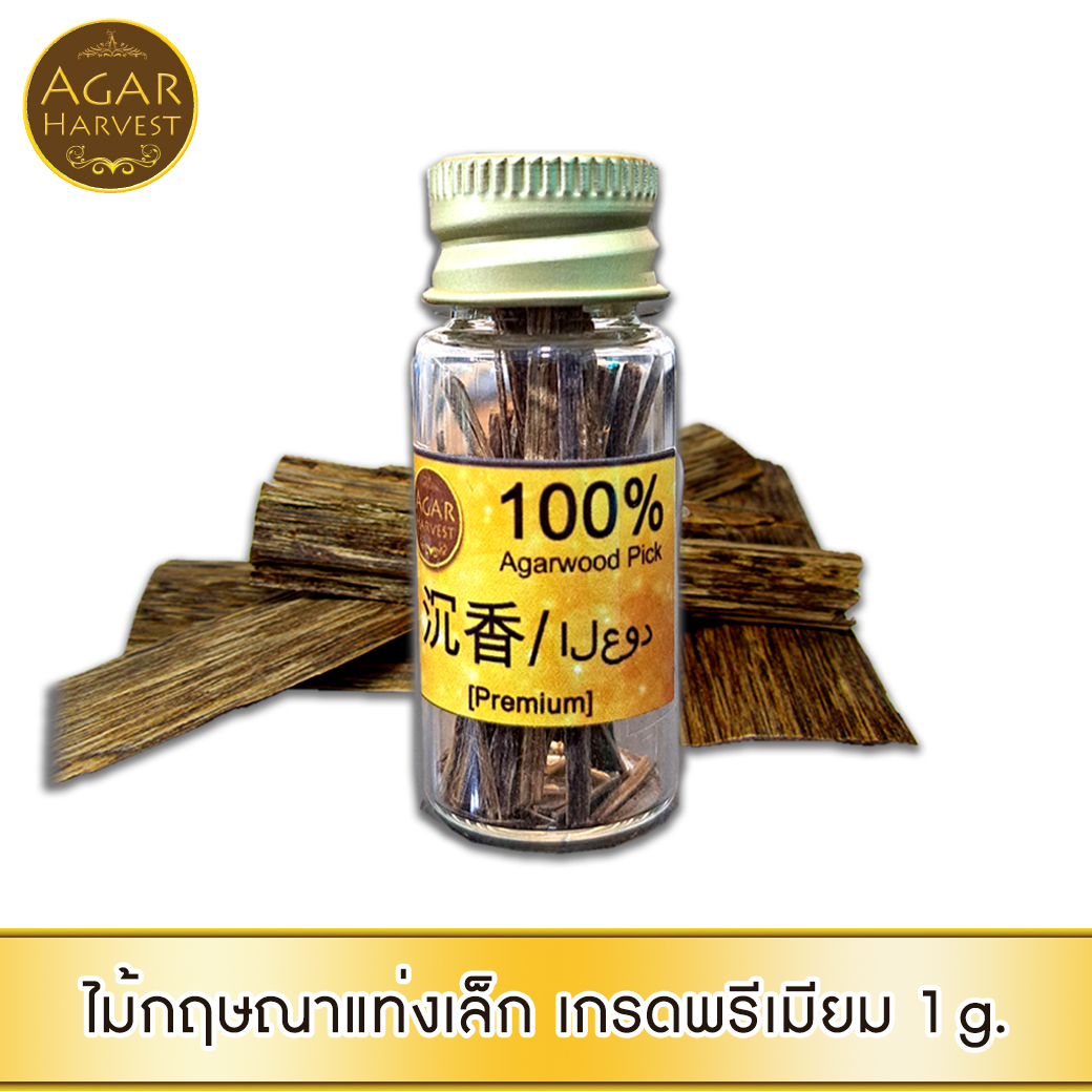 AgarHarvest ไม้ตอกบุหรี่ ไม้กฤษณาแท่งเล็ก แบบพิเศษ ไม้หอม อโรม่า ลดสารพิษ ลดความอ้วน ชลอชรา Agarwood Pick / Cigarette Stick (Premium)