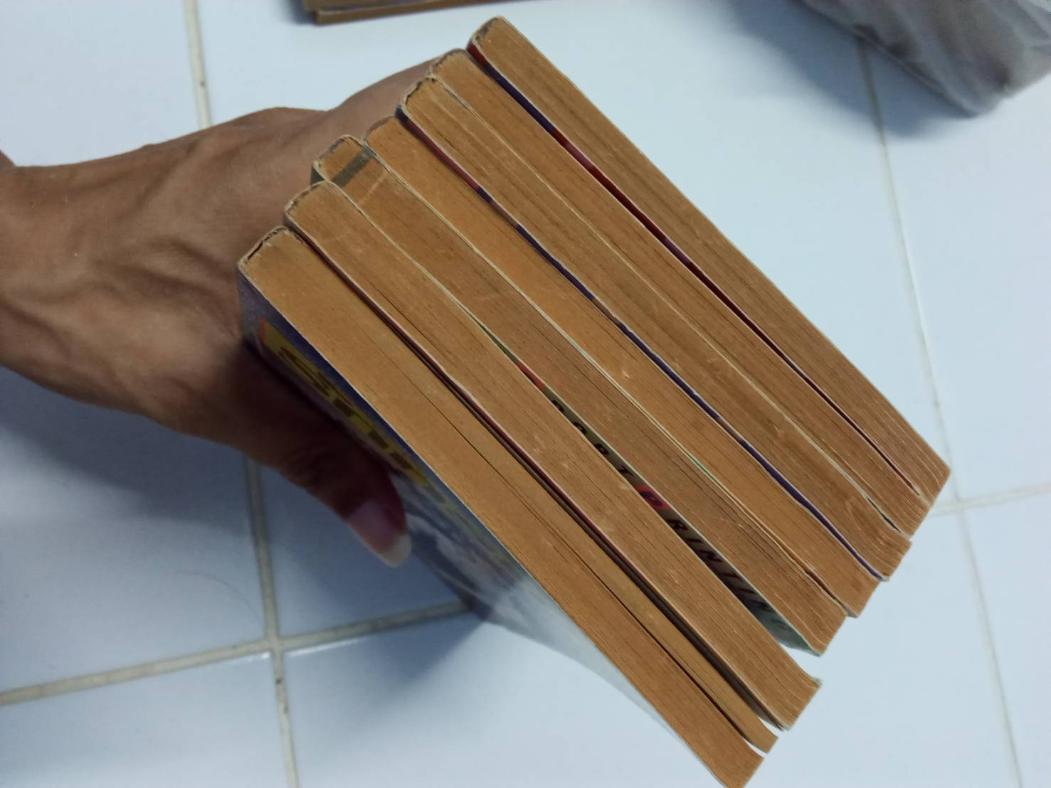 รักทระนง เล่ม 1-7 จบ