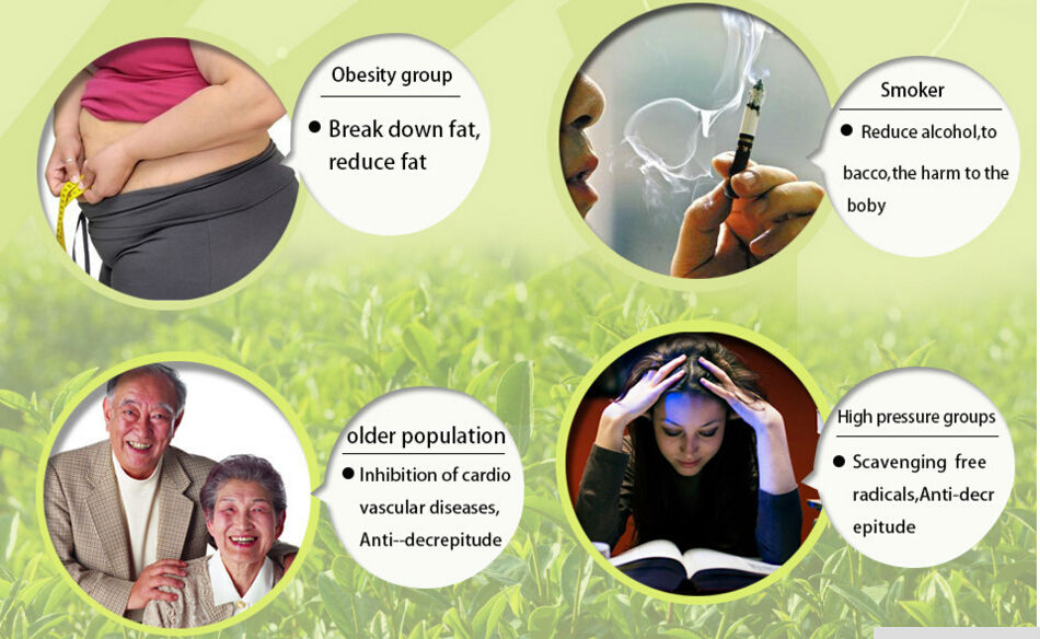 AgarHarvest ไม้ตอกบุหรี่ ไม้กฤษณาแท่งเล็ก แบบพิเศษ ไม้หอม อโรม่า ลดสารพิษ ลดความอ้วน ชลอชรา Agarwood Pick / Cigarette Stick (Premium)