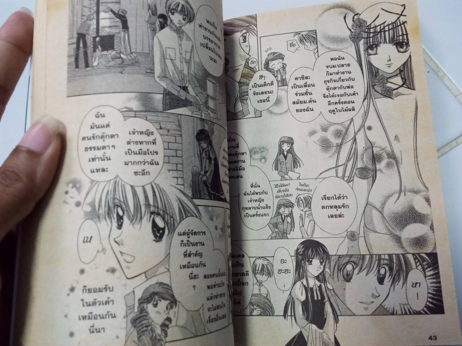 เจ้าหญิงกุหลาบน้ำแข็ง เล่มเดียวจบ