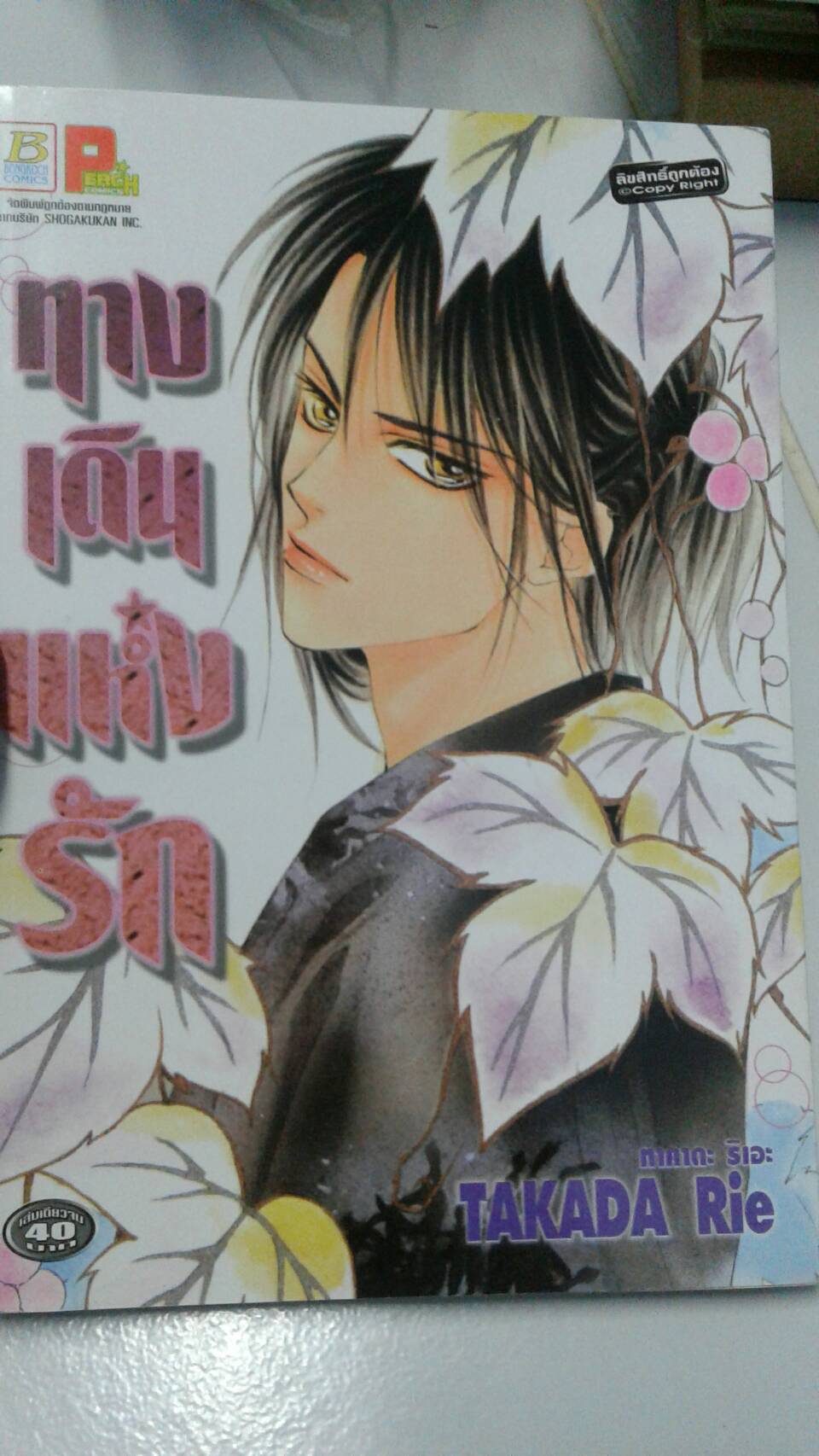 ทางเดินแห่งรัก เล่มเดียวจบ