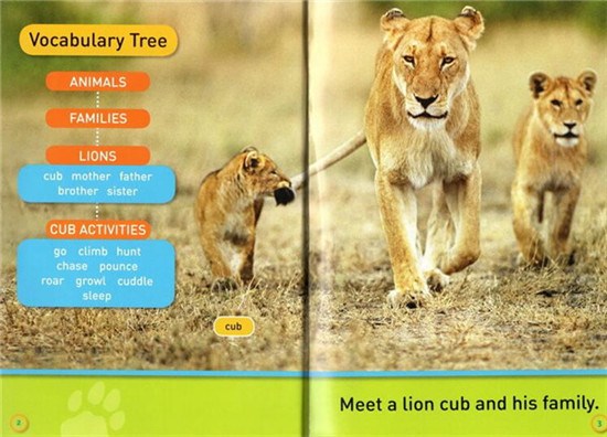 หนังสือภาษาอังกฤษเด็ก National Geographic Kids Pre-Reader 20 เล่ม