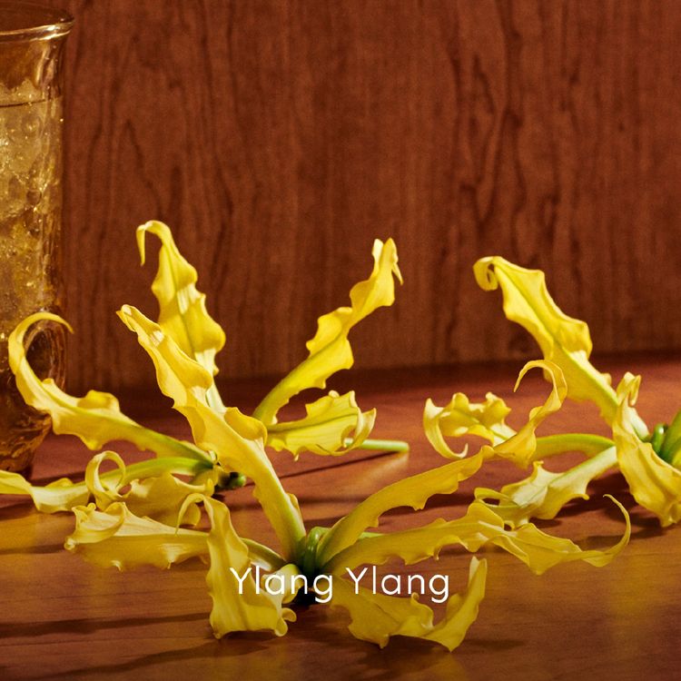 น้ำหอม Guilty Intense Pour Femme EDP 90ml