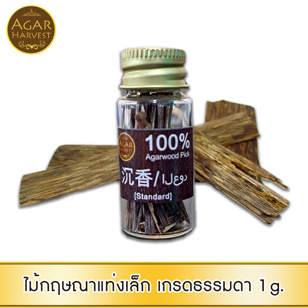 AgarHarvest ไม้ตอกบุหรี่ ไม้กฤษณาแท่งเล็ก แบบธรรมดา ไม้หอม อโรม่า ลดสารพิษ ลดความอ้วน ชลอชรา Agarwood Pick / Cigarette Stick (Standard)