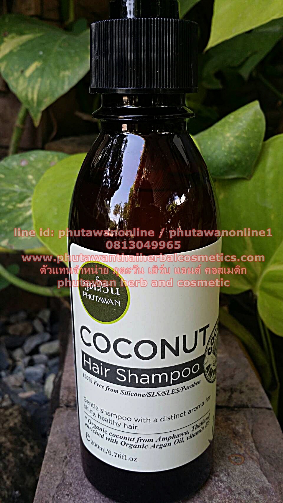 แชมพูสระผมมะพร้าว Coconut Hair Shampoo
