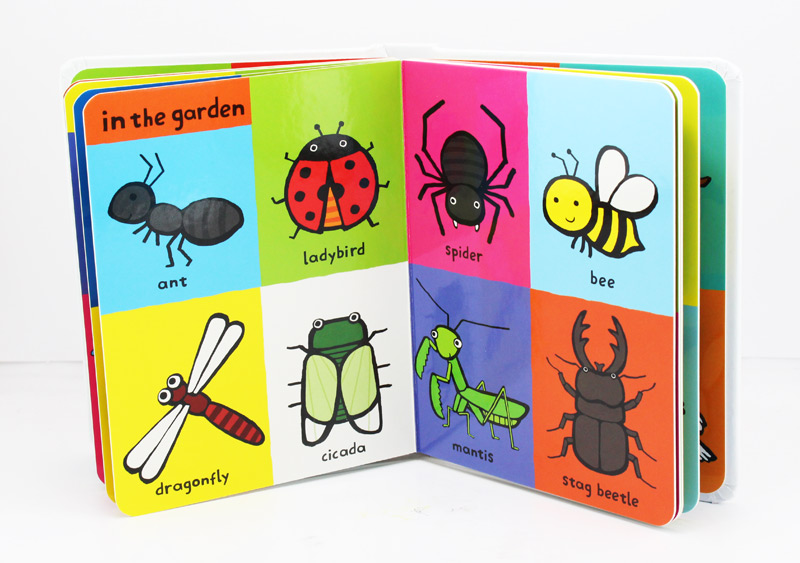 หนังสือบอร์ดบุ๊ค My First หนังสือภาพคำศัพท์ภาษาอังกฤษน่ารู้สำหรับเด็ก