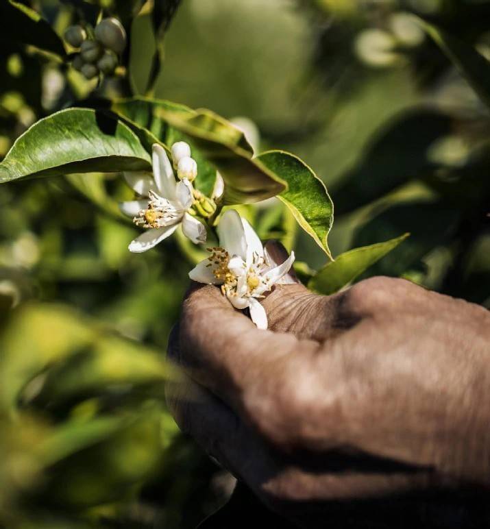 น้ำหอม Dior J'adore EDT 100ml