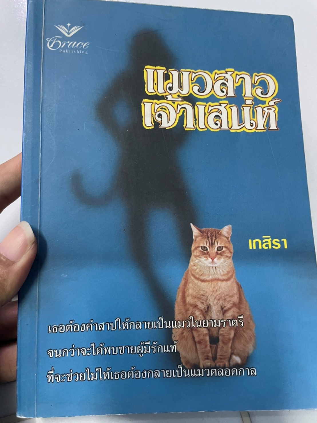 แมวสาวเจ้าเสน่ห์ เล่มเดียวจบ