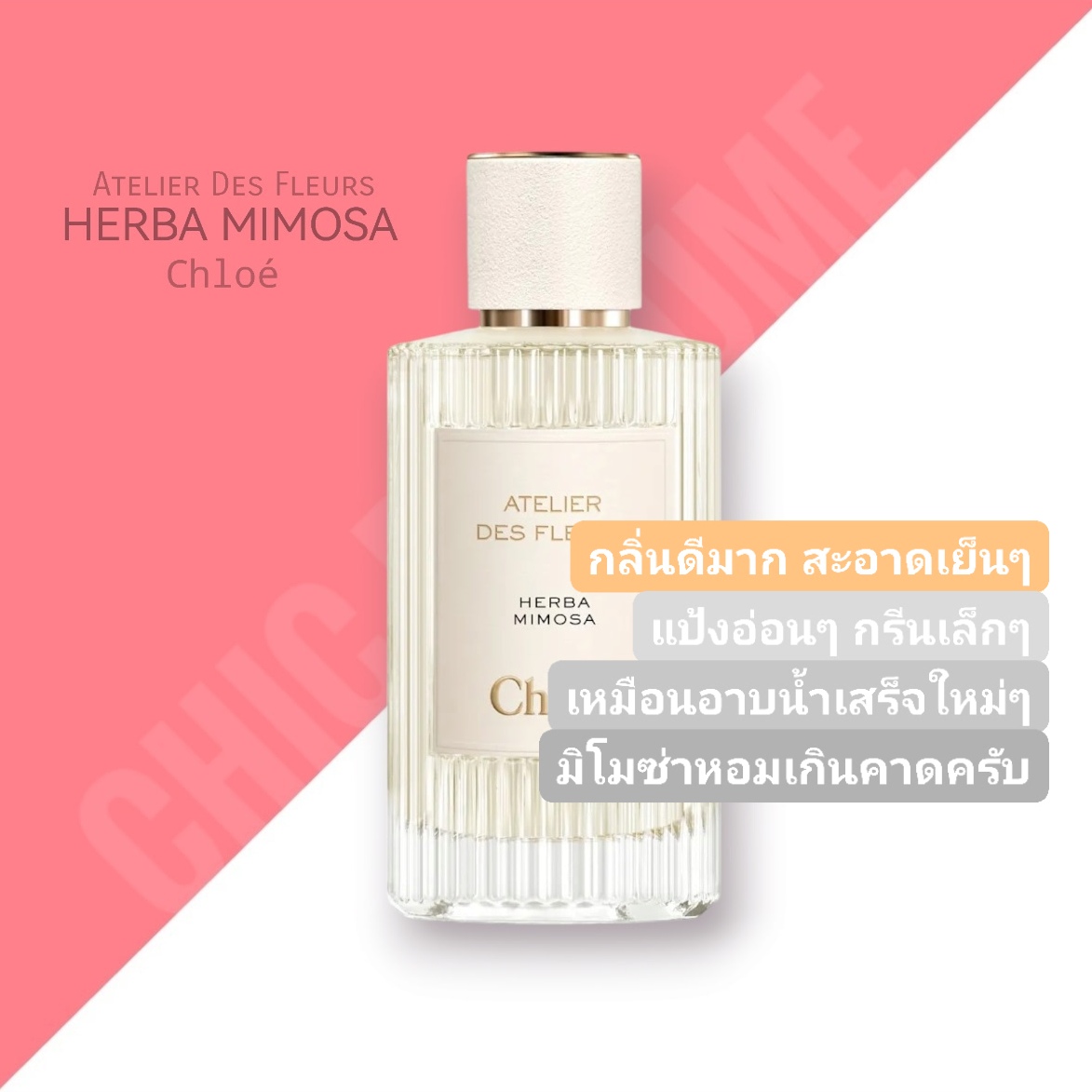 น้ำหอม Chloe Atelier des Fleur Herba Mimosa
