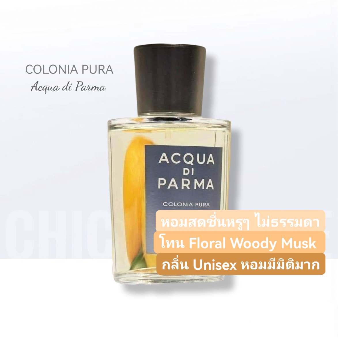น้ำหอม Acqua Di Parma Colonia Pura 100ml
