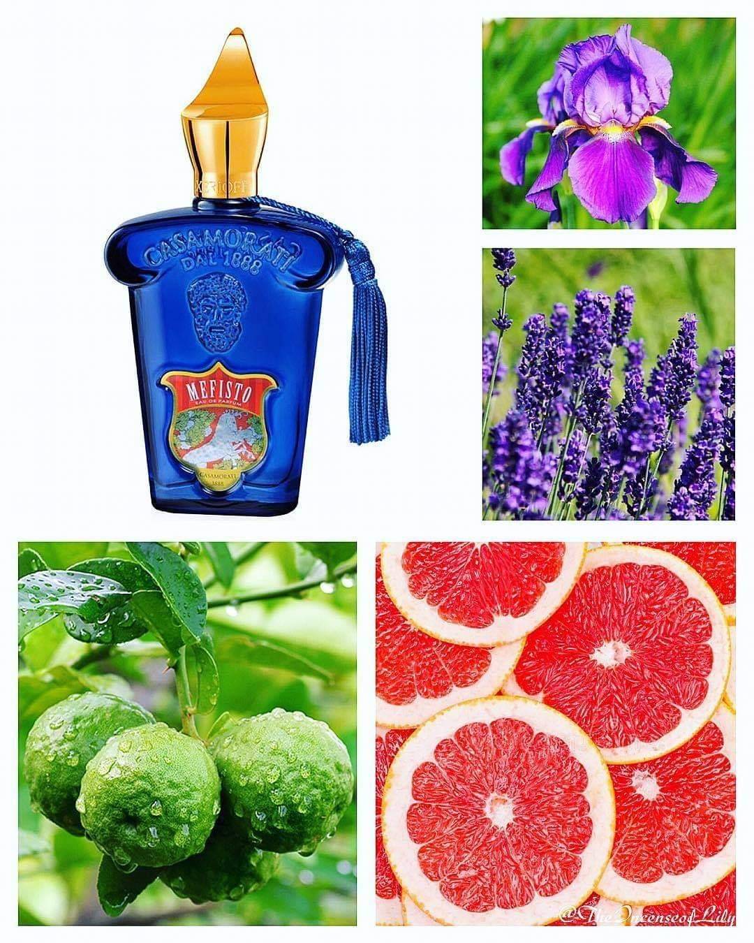 น้ำหอม Casamorati Mefisto by Xerjoff EDP 100ml