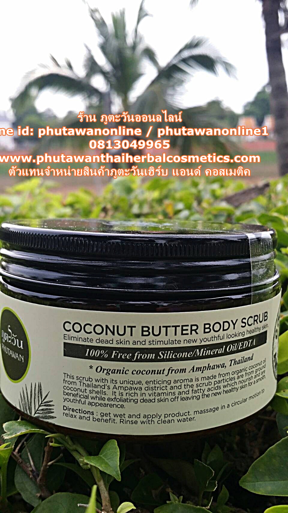 Coconut Butter Body Scrub สครับขัดผิวมะพร้าว ร้าน ภูตะวันออนไลน์