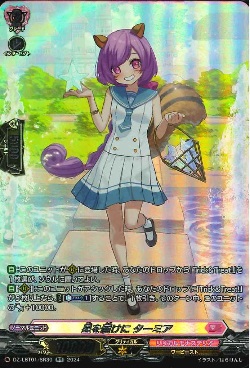 DZ-LBT01/SR30 星を届けに ターミア