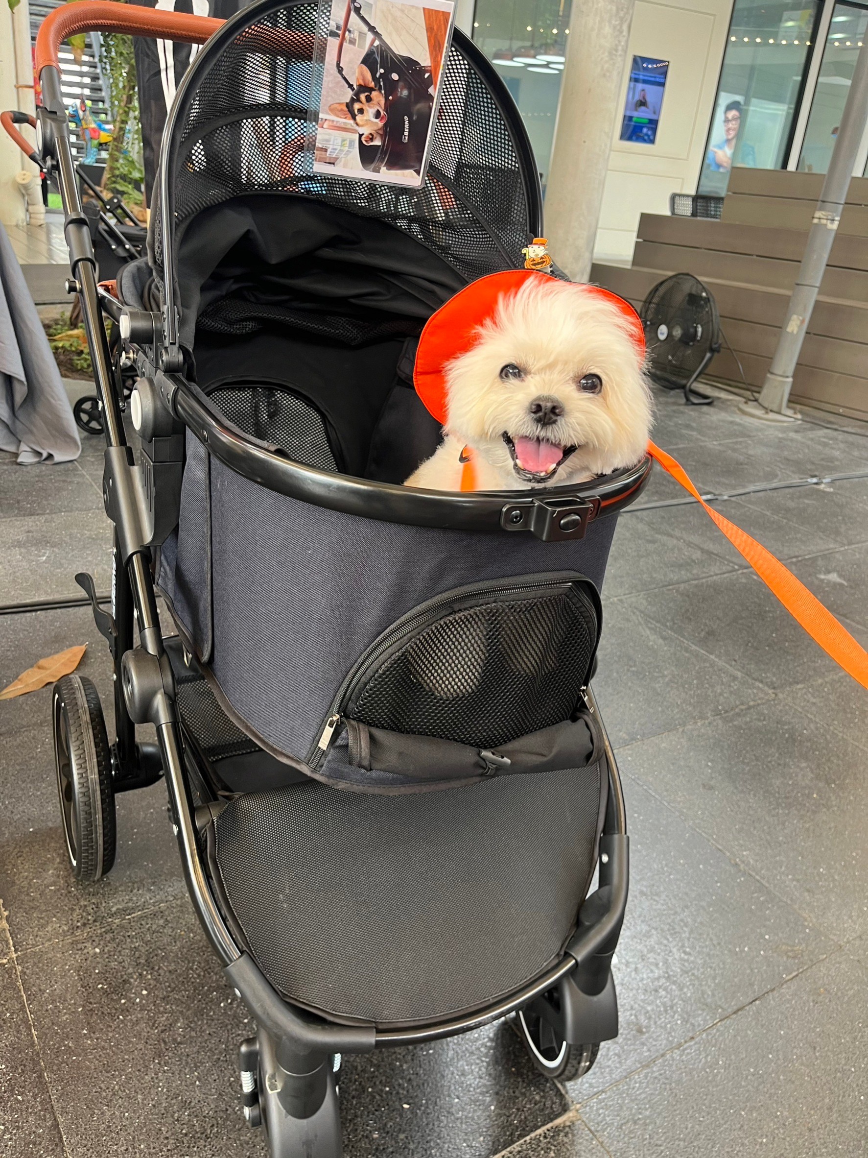 Bernd รุ่น Prime Pet (Isofix) รถเข็นและคาร์ซีทสำหรับสัตว์เลี้ยง