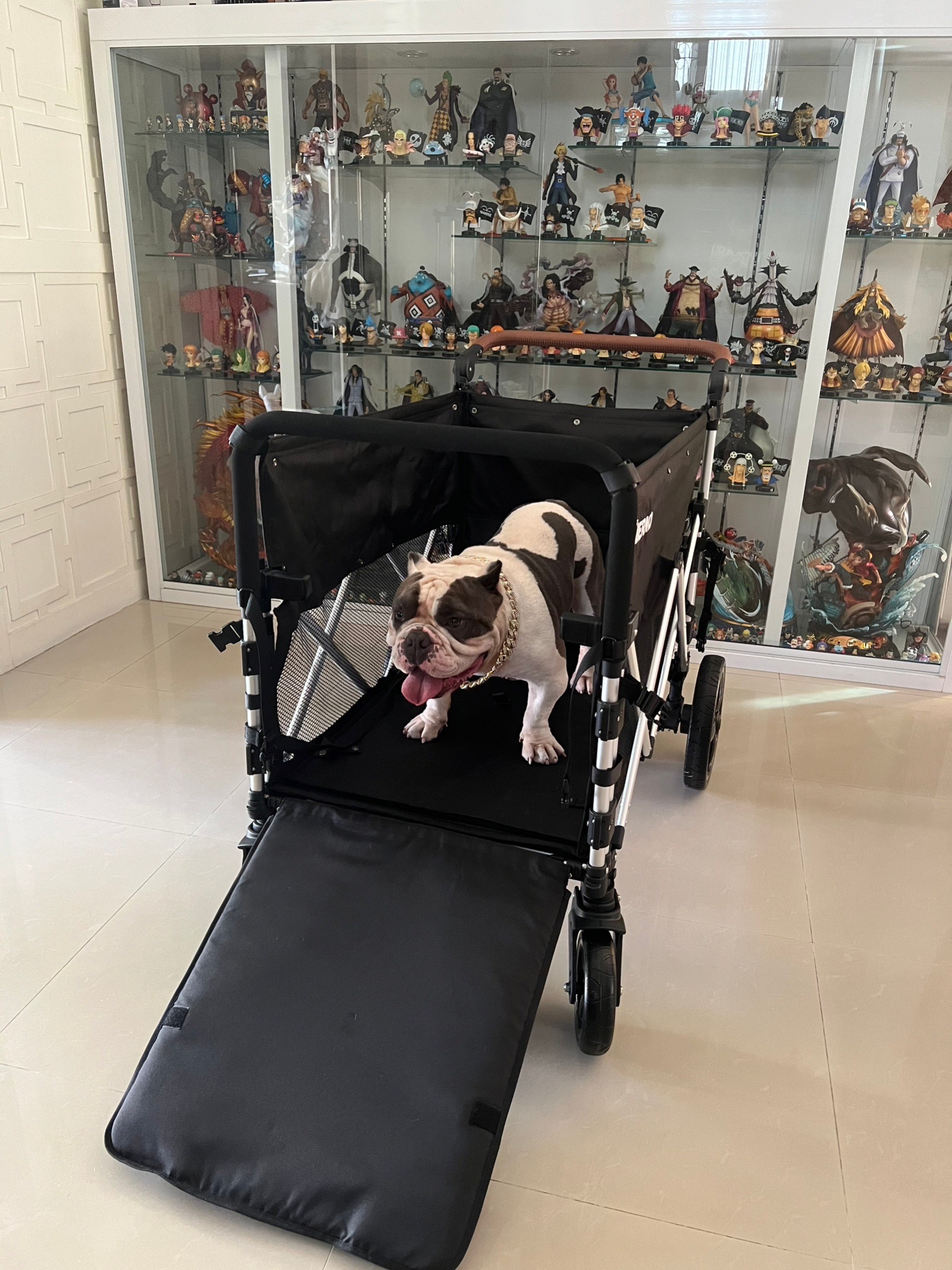 BERND รุ่น Bloom Pet รถเข็นสำหรับสัตว์เลี้ยง รับน้ำหนักได้สูงสุด 100kg.