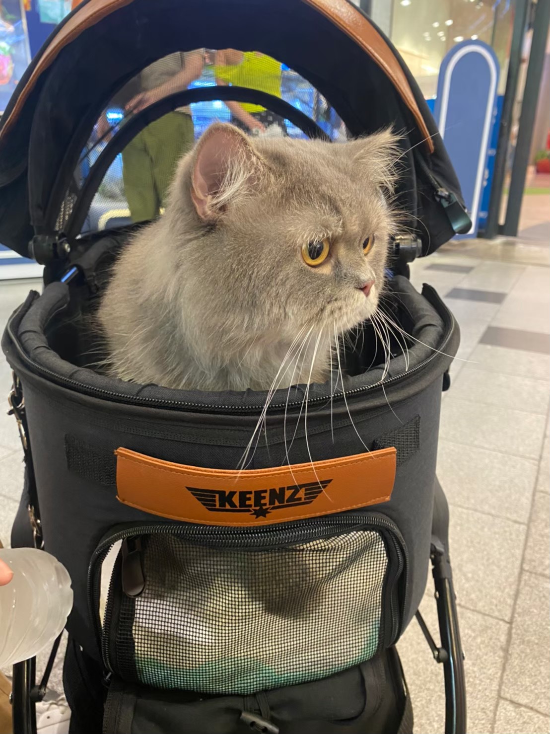 KEENZ รุ่น AIRPETS รถเข็นสัตว์เลี้ยง 3in1 กระเป๋าใส่สัตว์เลี้ยง (พันธุ์เล็ก)