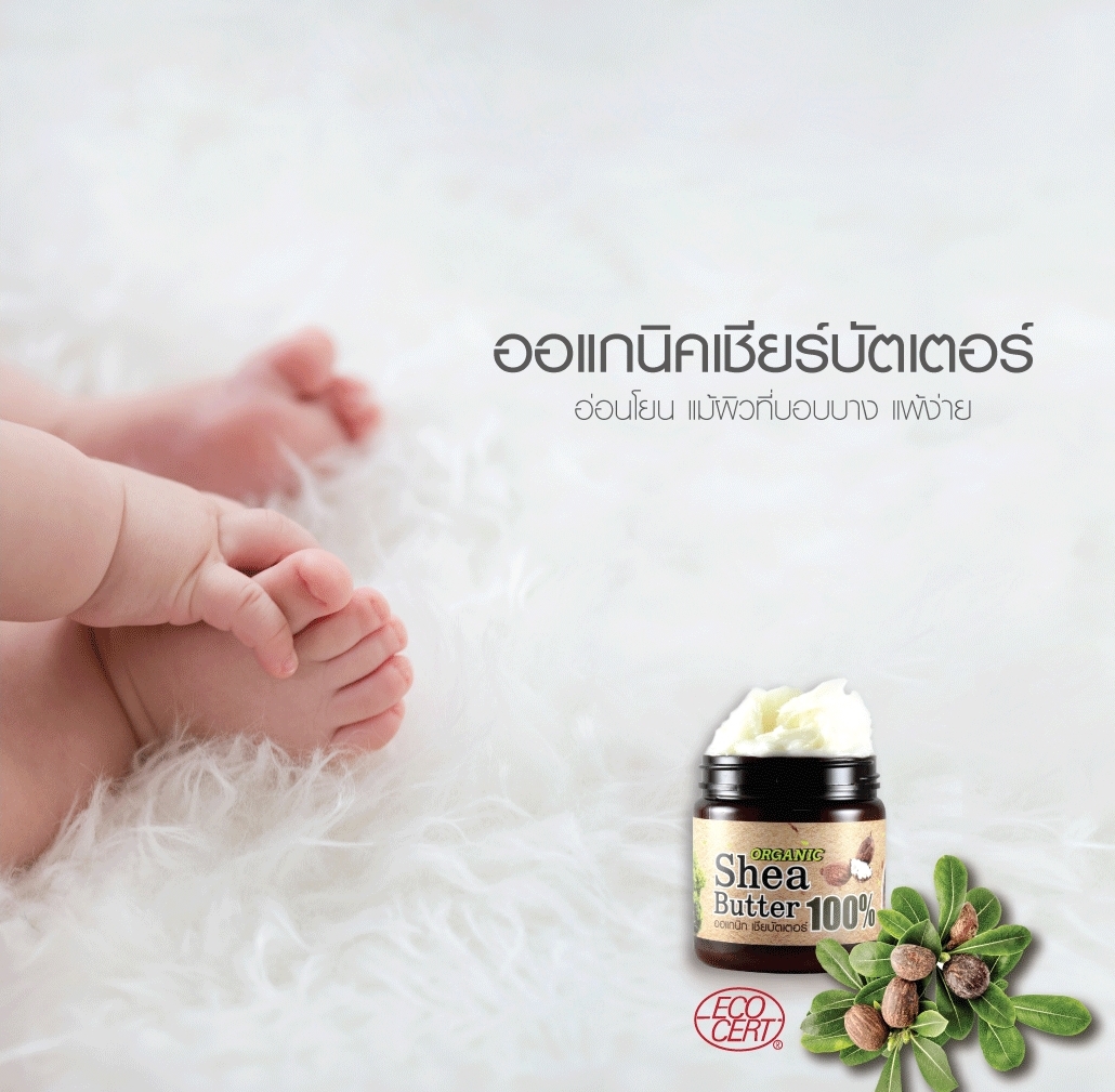 shea butter organic phutawan เชีย บัตเตอร์ ออแกนิค ภูตะวัน ขนาด 60 กรัม