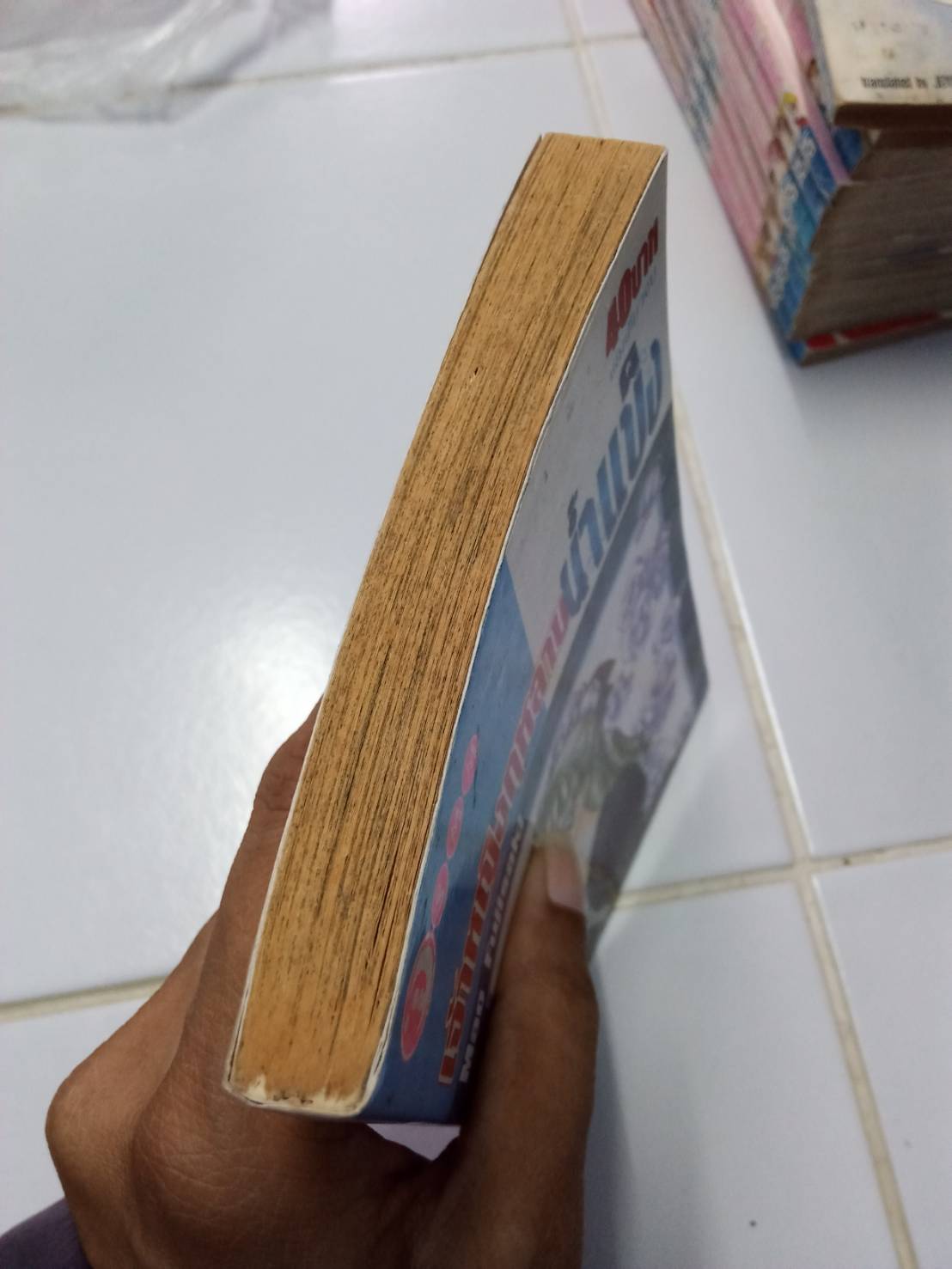 เจ้าหญิงกุหลาบน้ำแข็ง เล่มเดียวจบ