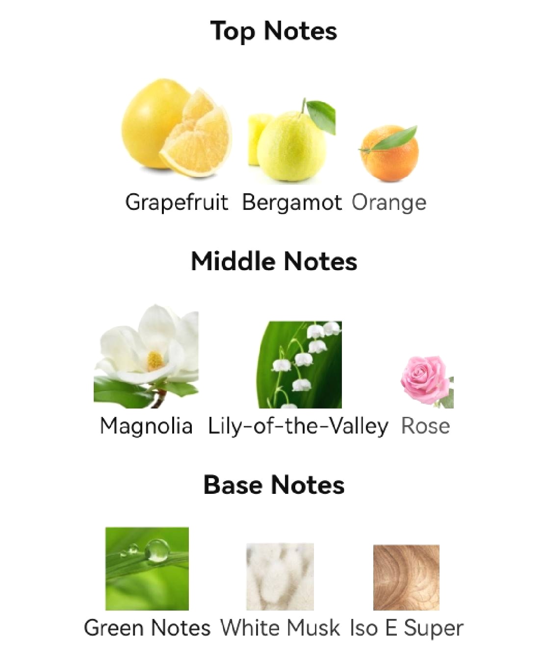 น้ำหอม Bottega Veneta Parco Palladiano I Magnolia EDP 100ml