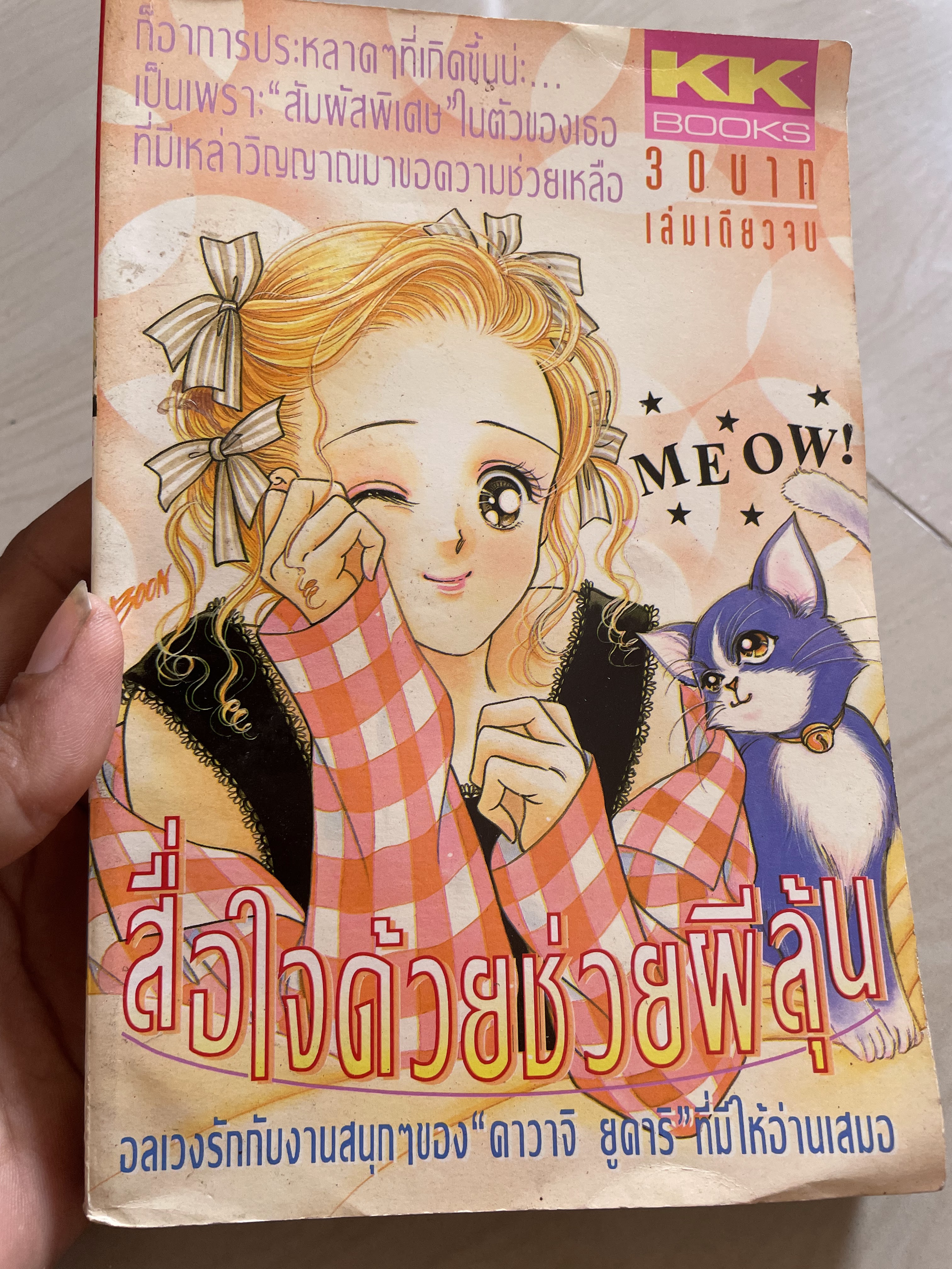 สื่อใจด้วยช่วยผีลุ้น เล่มเดียวจบ
