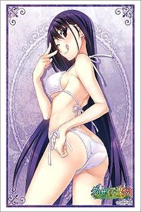 Bushiroad Sleeve Collection HG Vol.2357 - Grisaia no Kajitsu [Yumiko Sakaki] Part.3