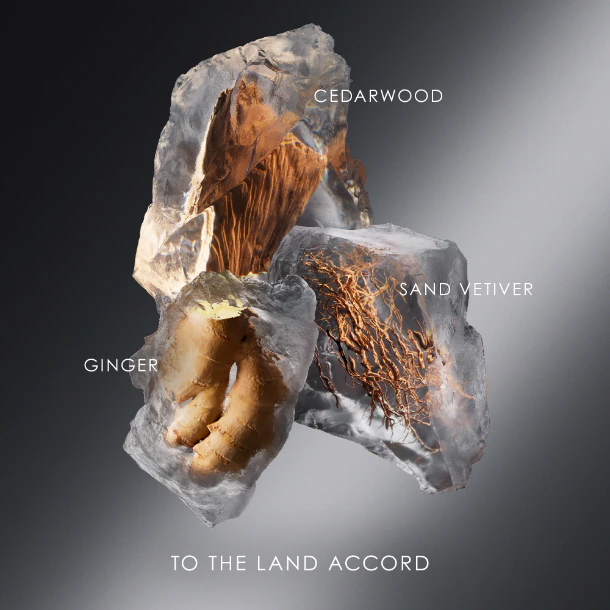 น้ำหอม Issey Miyake Le Sel d’Issey EDT