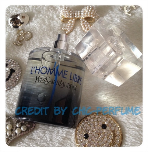 น้ำหอม Yves Saint Laurent L'Homme Libre