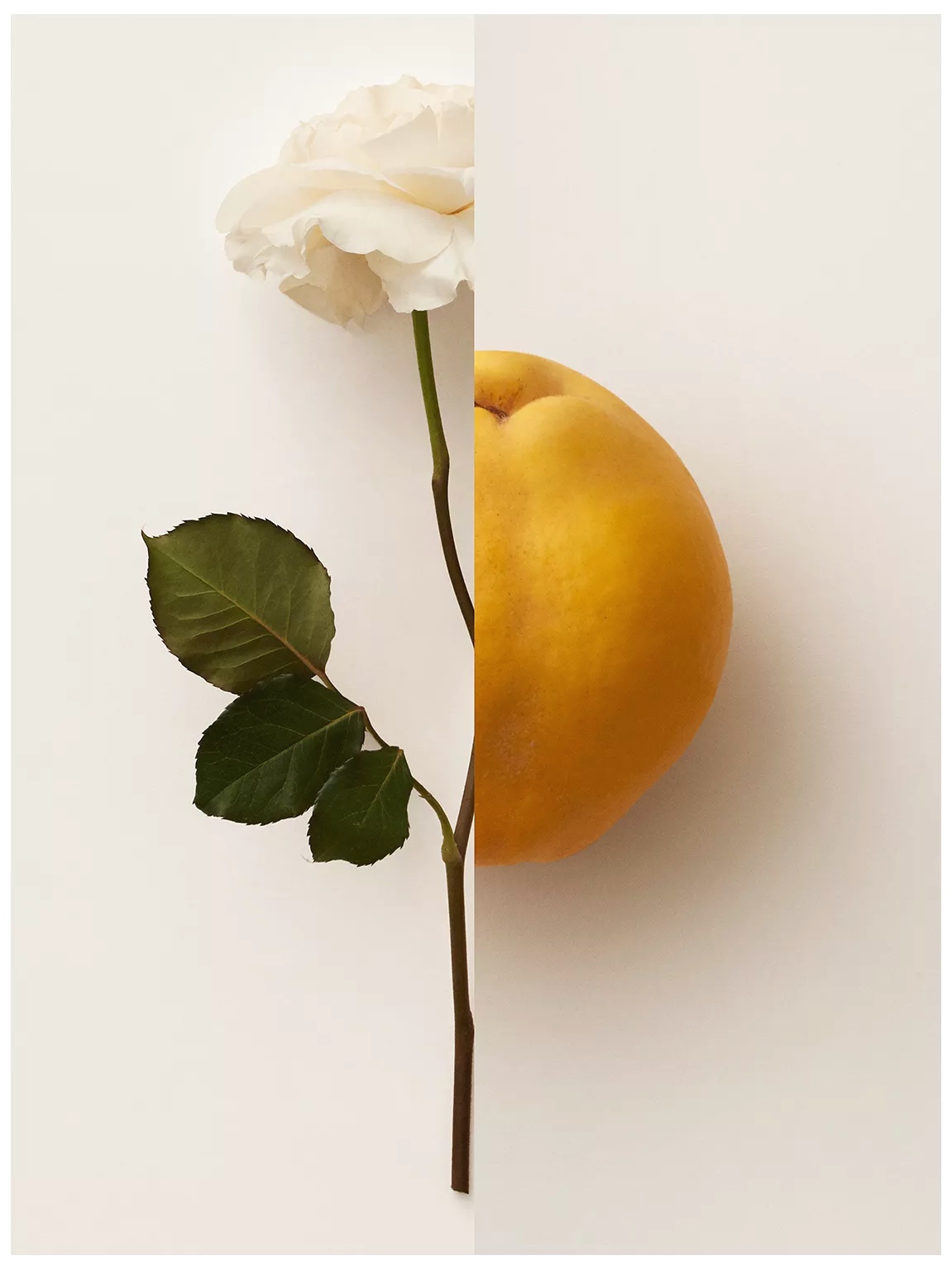 น้ำหอม MY BURBERRY EDP