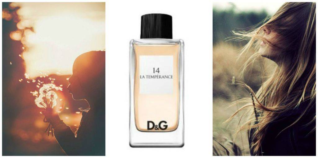น้ำหอม D&G Anthology La Temperance No. 14 EDT 100ml
