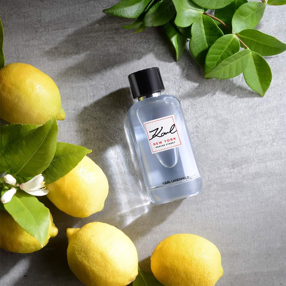 น้ำหอม Karl Lagerfeld New York Mercer Street Pour Homme EDT 100ml