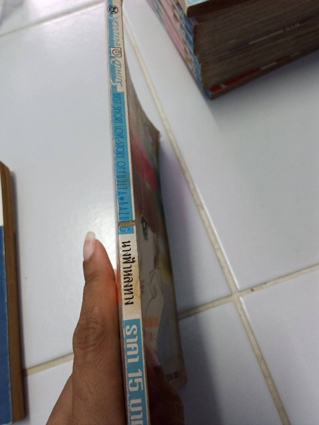 เจ้าหญิงกุหลาบน้ำแข็ง เล่มเดียวจบ