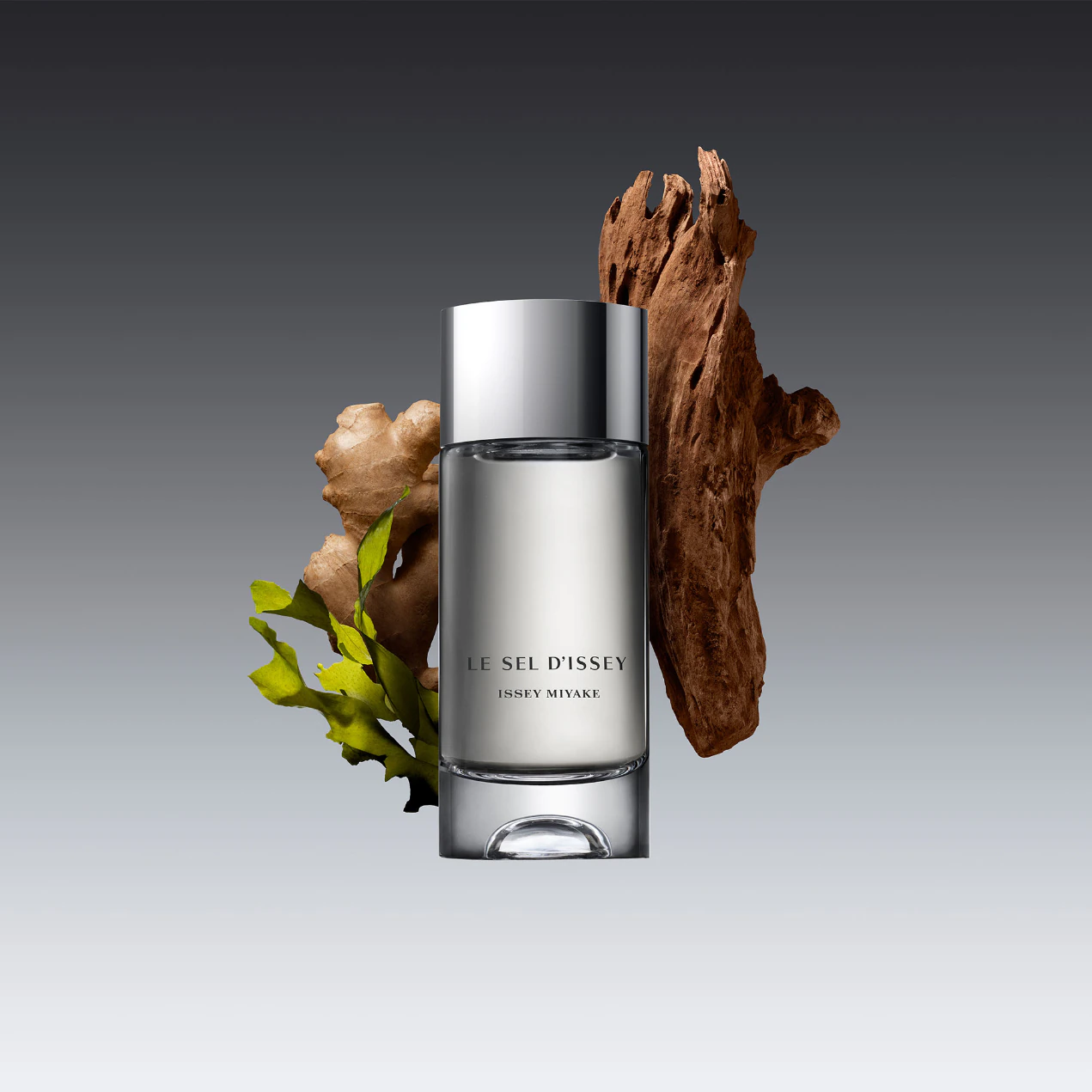 น้ำหอม Issey Miyake Le Sel d’Issey EDT
